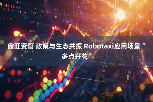 鑫旺资管 政策与生态共振 Robotaxi应用场景“多点开花”