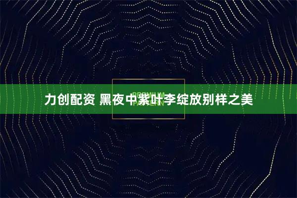 力创配资 黑夜中紫叶李绽放别样之美